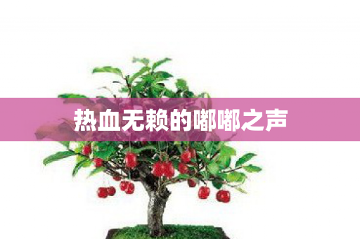 热血无赖的嘟嘟之声