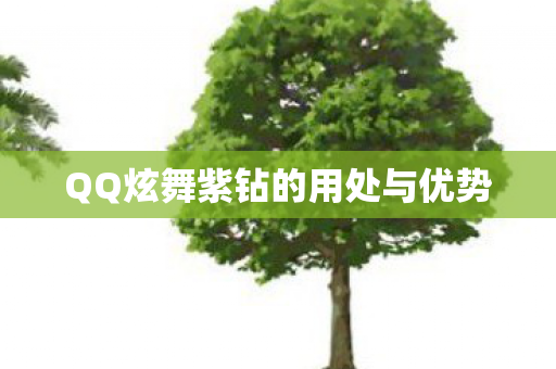 QQ炫舞紫钻的用处与优势
