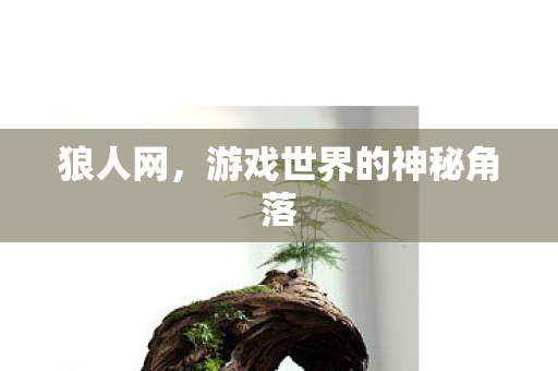 狼人网，游戏世界的神秘角落