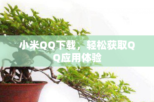 小米QQ下载，轻松获取QQ应用体验