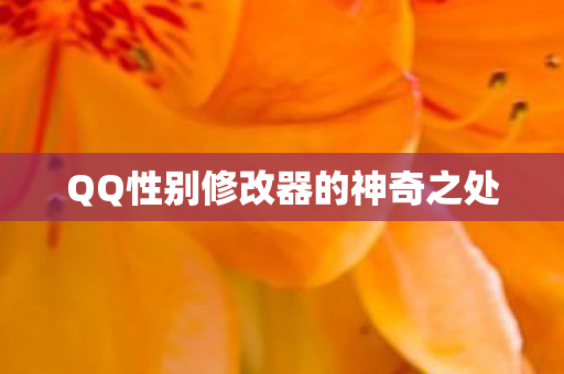 QQ性别修改器的神奇之处
