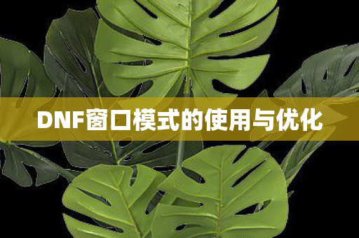 DNF窗口模式的使用与优化