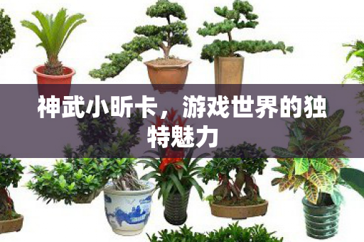 神武小昕卡,游戏世界的独特魅力 神武小昕卡,游戏世界的独特魅力