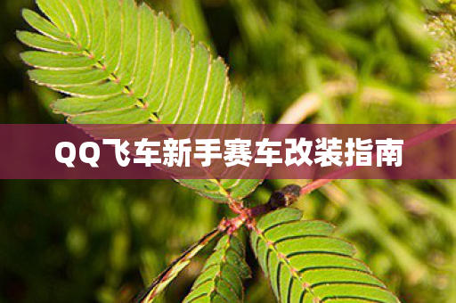 QQ飞车新手赛车改装指南