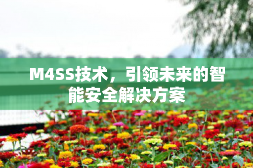 M4SS技术，引领未来的智能安全解决方案