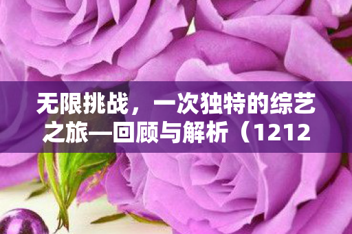 无限挑战，一次独特的综艺之旅—回顾与解析（121229）