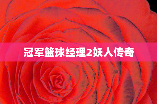 冠军篮球经理2妖人传奇