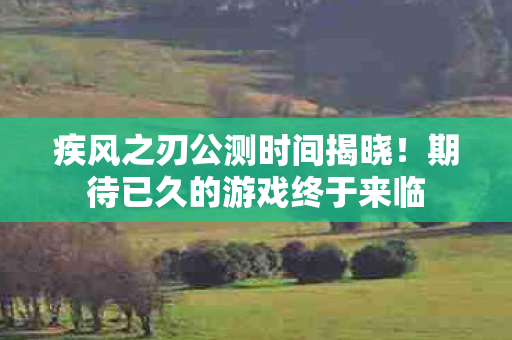 疾风之刃公测时间揭晓!期待已久的游戏终于来临 疾风之刃公测时间揭晓!期待已久的游戏终于来临