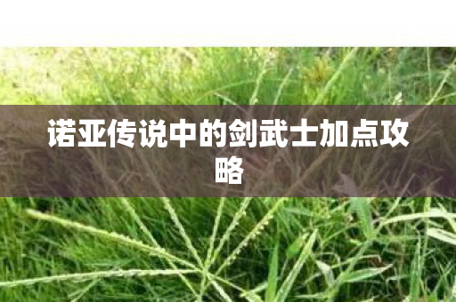 诺亚传说中的剑武士加点攻略 诺亚传说中的剑武士加点攻略