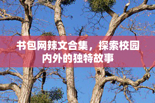 书包网辣文合集,探索校园内外的独特故事 书包网辣文合集,探索校园内外的独特故事
