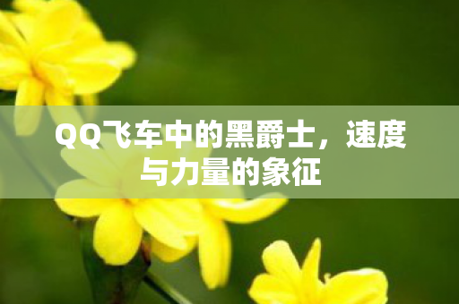 QQ飞车中的黑爵士，速度与力量的象征