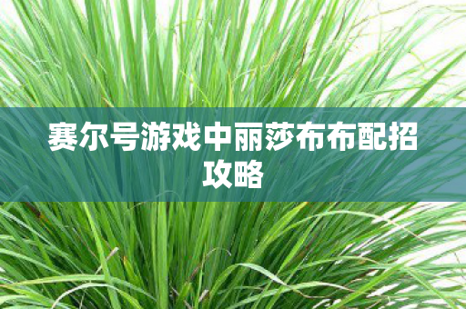 赛尔号游戏中丽莎布布配招攻略