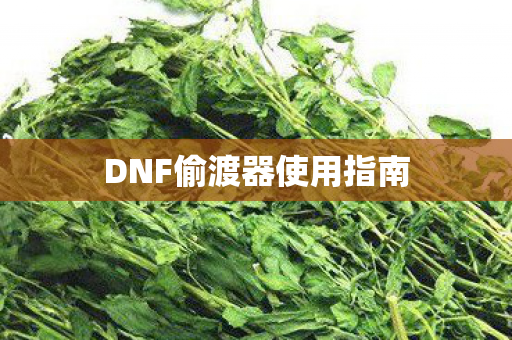 DNF偷渡器使用指南