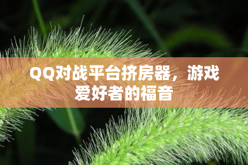 QQ对战平台挤房器，游戏爱好者的福音