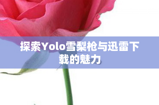 探索Yolo雪梨枪与迅雷下载的魅力 探索Yolo雪梨枪与迅雷下载的魅力