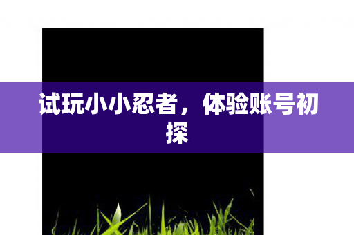 试玩小小忍者，体验账号初探