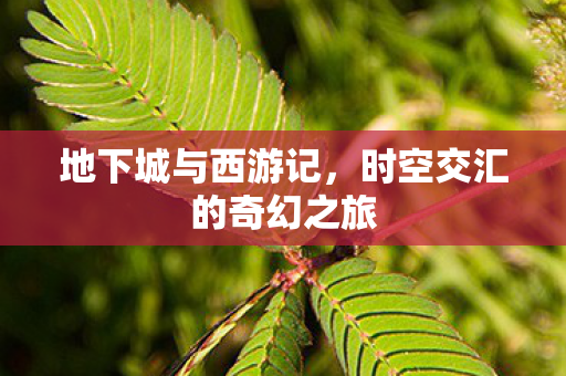 地下城与西游记，时空交汇的奇幻之旅