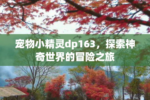 宠物小精灵dp163，探索神奇世界的冒险之旅