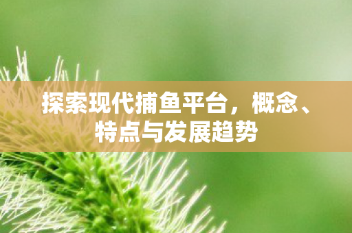 探索现代捕鱼平台,概念、特点与发展趋势 探索现代捕鱼平台,概念、特点与发展趋势