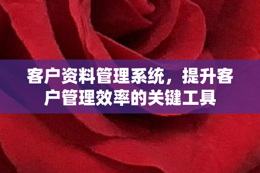 客户资料管理系统,提升客户管理效率的关键工具 客户资料管理系统,提升客户管理效率的关键工具