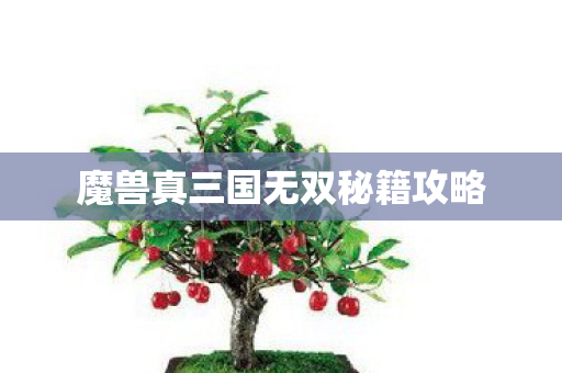 魔兽真三国无双秘籍攻略