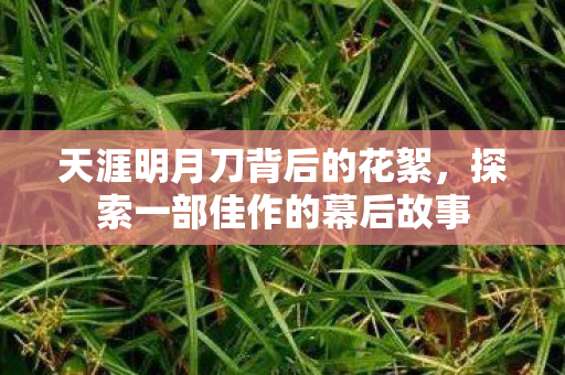 天涯明月刀背后的花絮,探索一部佳作的幕后故事 天涯明月刀背后的花絮,探索一部佳作的幕后故事