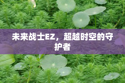 未来战士EZ,超越时空的守护者 未来战士EZ,超越时空的守护者