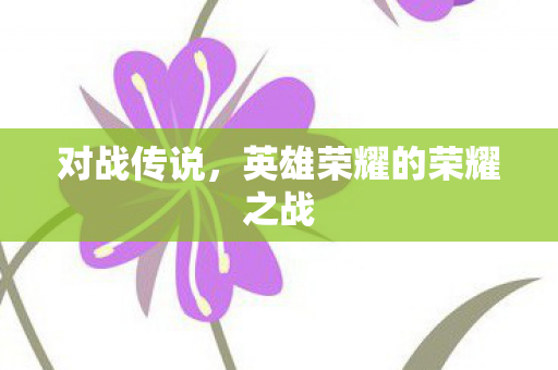 对战传说，英雄荣耀的荣耀之战