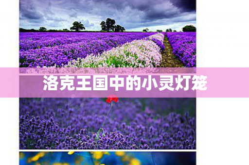 洛克王国中的小灵灯笼 洛克王国中的小灵灯笼