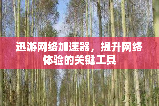 迅游网络加速器，提升网络体验的关键工具