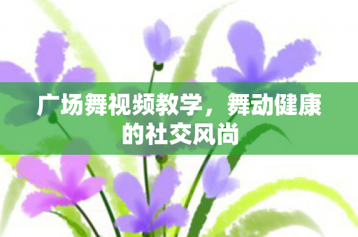 广场舞视频教学，舞动健康的社交风尚