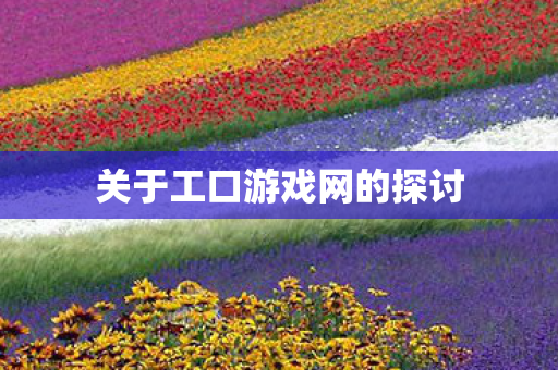 关于工口游戏网的探讨 关于工口游戏网的探讨