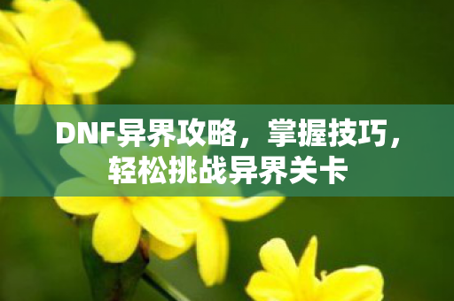 DNF异界攻略，掌握技巧，轻松挑战异界关卡