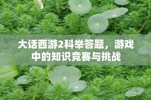 大话西游2科举答题，游戏中的知识竞赛与挑战