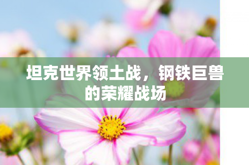 坦克世界领土战,钢铁巨兽的荣耀战场 坦克世界领土战,钢铁巨兽的荣耀战场