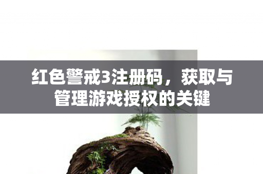 获取与管理游戏授权的关键图片