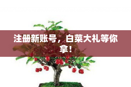 白菜大礼等你拿图片