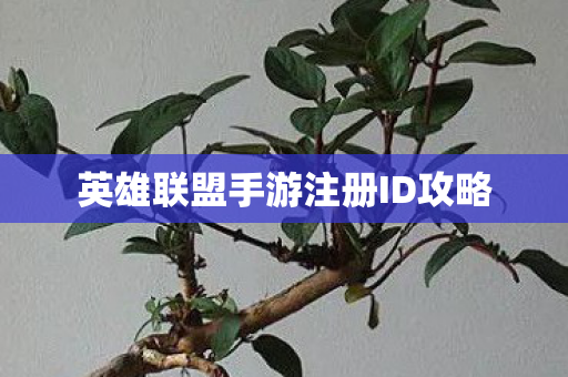 英雄联盟手游注册ID攻略图片