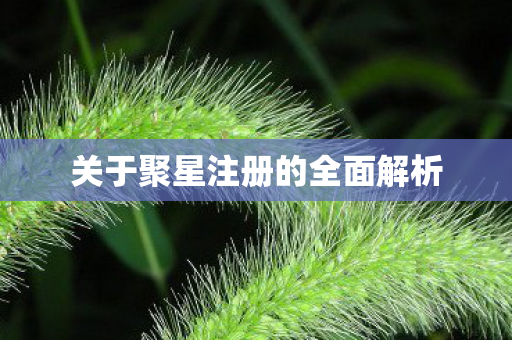 关于聚星注册的全面解析图片