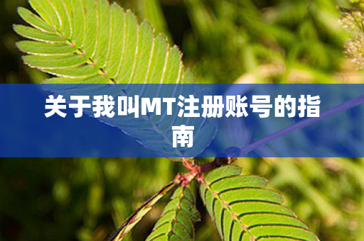 关于我叫MT注册账号的指南图片