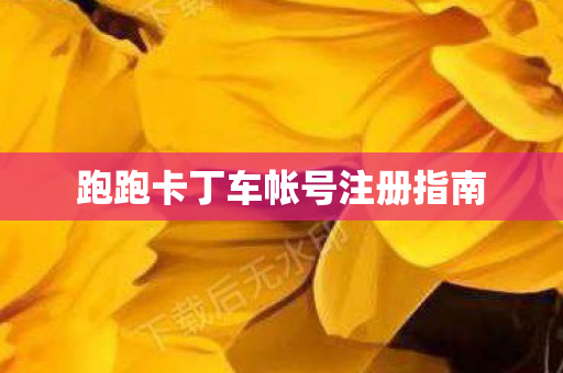 跑跑卡丁车帐号注册指南图片