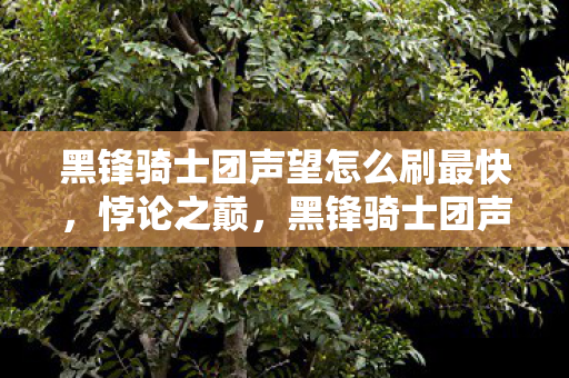 黑锋骑士团声望怎么刷最快,悖论之巅,黑锋骑士团声望速刷,自由与宿命的灵魂震颤 黑锋骑士团声望怎么刷最快,悖论之巅,黑锋骑士团声望速刷,自由与宿命的灵魂震颤