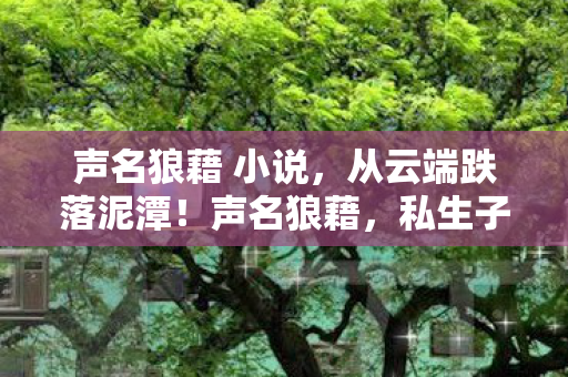 声名狼藉 小说,从云端跌落泥潭!声名狼藉,私生子真相揭晓,笑着笑着哭了 声名狼藉 小说,从云端跌落泥潭!声名狼藉,私生子真相揭晓,笑着笑着哭了