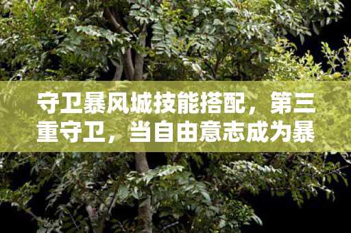 守卫暴风城技能搭配,第三重守卫,当自由意志成为暴风城最坚固的城墙,却也是最脆弱的裂痕 守卫暴风城技能搭配,第三重守卫,当自由意志成为暴风城最坚固的城墙,却也是最脆弱的裂痕