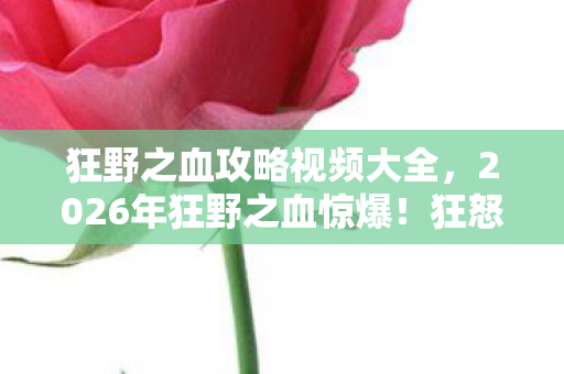 狂野之血攻略视频大全,2026年狂野之血惊爆!狂怒之下,隐藏关卡究竟藏着什么秘密? 狂野之血攻略视频大全,2026年狂野之血惊爆!狂怒之下,隐藏关卡究竟藏着什么秘密?