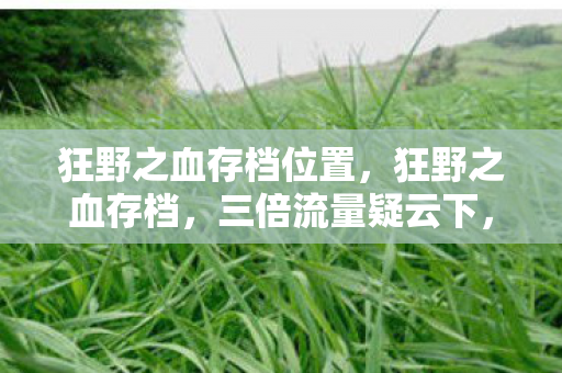 狂野之血存档位置,狂野之血存档,三倍流量疑云下,谁在让玩家心寒? 狂野之血存档位置,狂野之血存档,三倍流量疑云下,谁在让玩家心寒?