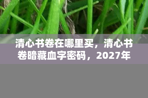 清心书卷在哪里买,清心书卷暗藏血字密码,2027年悬案竟是玩家集体献祭? 清心书卷在哪里买,清心书卷暗藏血字密码,2027年悬案竟是玩家集体献祭?