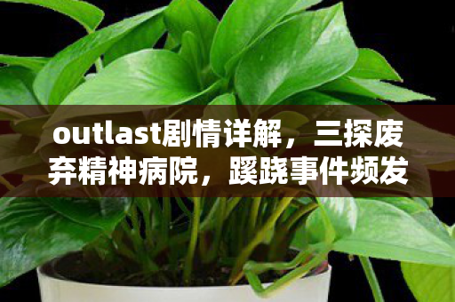 outlast剧情详解,三探废弃精神病院,蹊跷事件频发,真相揭晓后背发凉! outlast剧情详解,三探废弃精神病院,蹊跷事件频发,真相揭晓后背发凉!