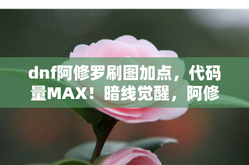 dnf阿修罗刷图加点,代码量MAX!暗线觉醒,阿修罗刷图流派让我头皮发麻的生存法则 dnf阿修罗刷图加点,代码量MAX!暗线觉醒,阿修罗刷图流派让我头皮发麻的生存法则