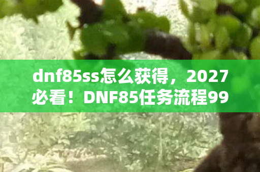 dnf85ss怎么获得,2027必看!DNF85任务流程99%玩家错过的3大隐藏捷径,错过血亏! dnf85ss怎么获得,2027必看!DNF85任务流程99%玩家错过的3大隐藏捷径,错过血亏!